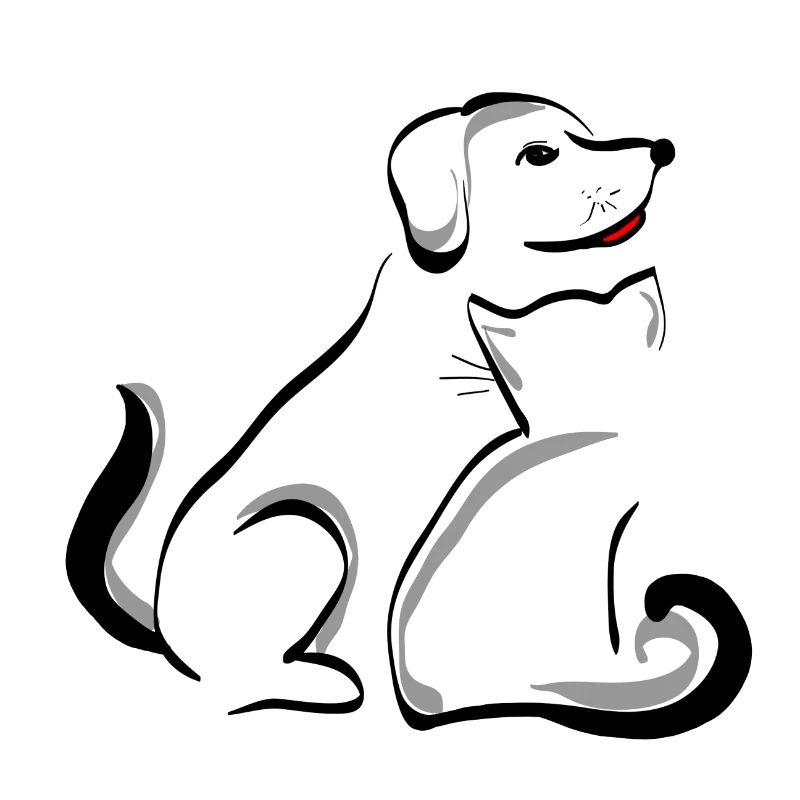 Hund und Katze