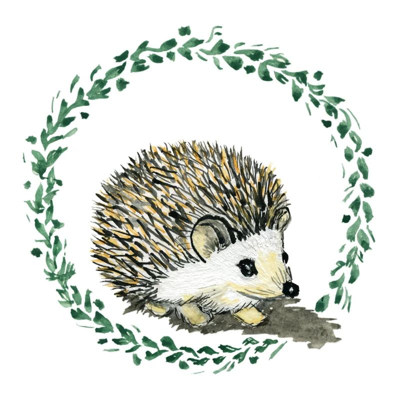Igel