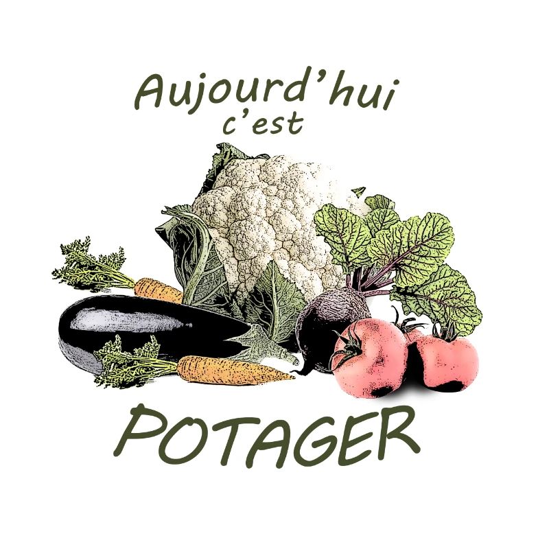 Aujourd'hui c'est potager d'intérieur ou jardin