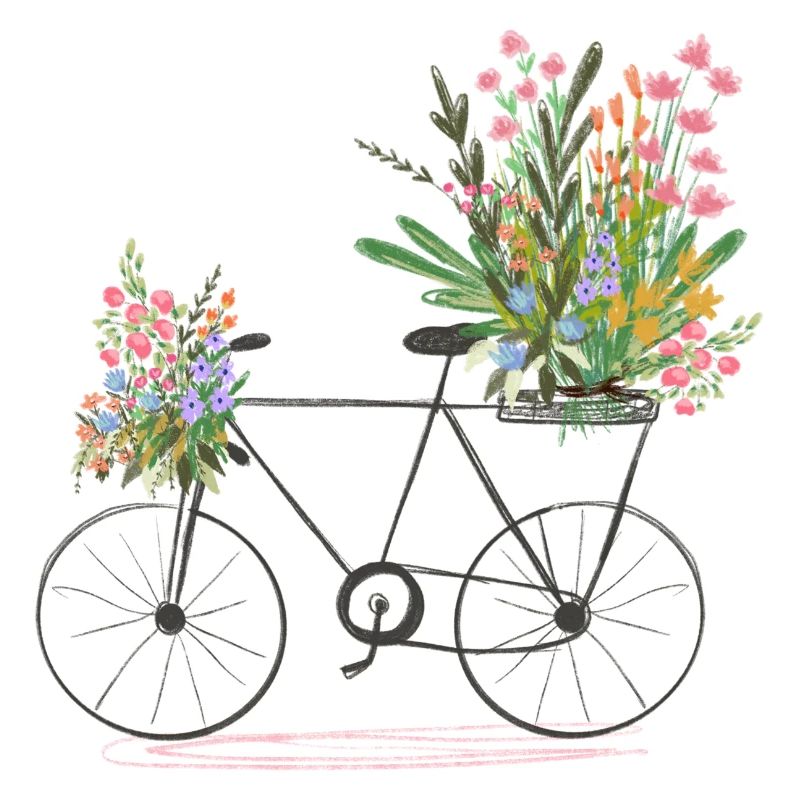 Vélo plein de fleurs