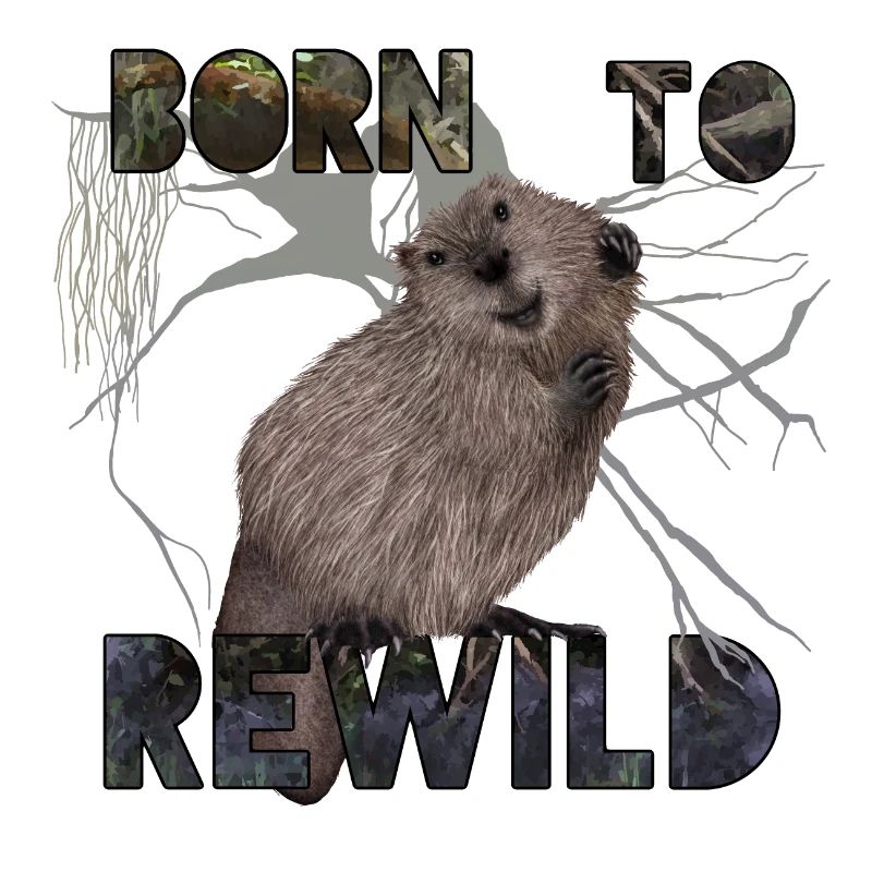Geboren von ReWild beaver
