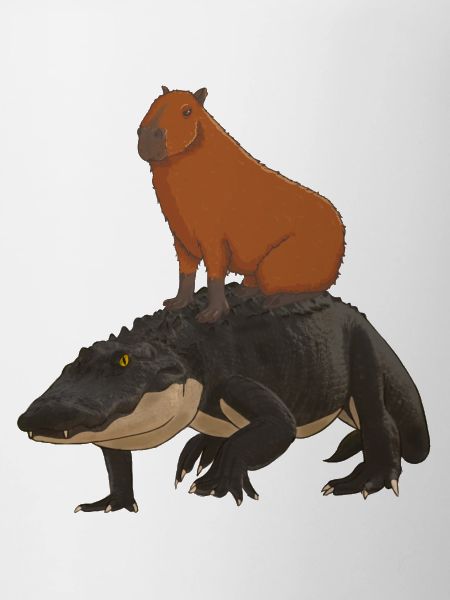 Capybara sur alligator