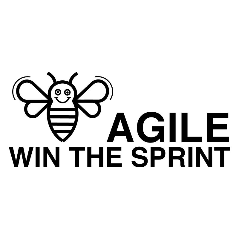 BE AGILE GAGNER LE SPRINT