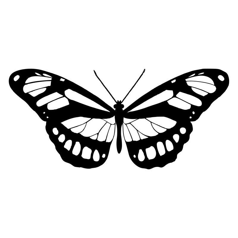 Schmetterling Silhouette