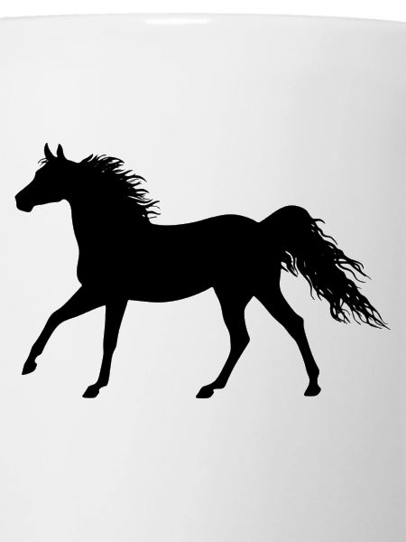 le cheval de cheval