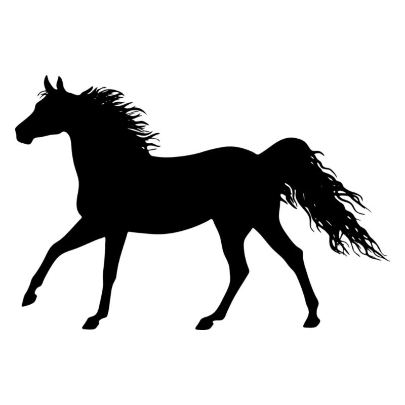 le cheval de cheval