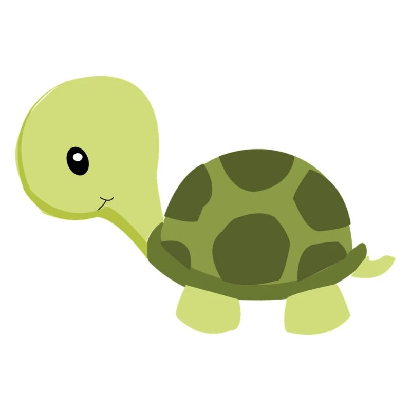 Schildkröte