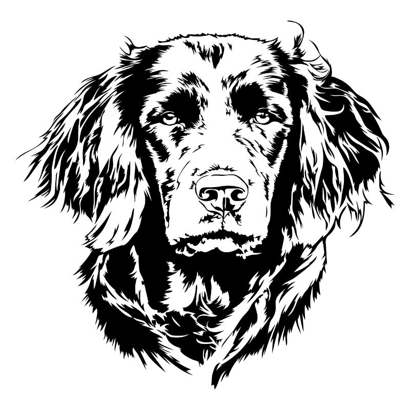 DEUTSCHER WACHTELHUND Jagdhund Jagdhunde Wilsigns