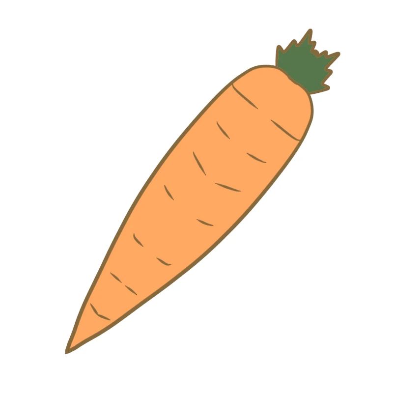 légumes à base de carottes