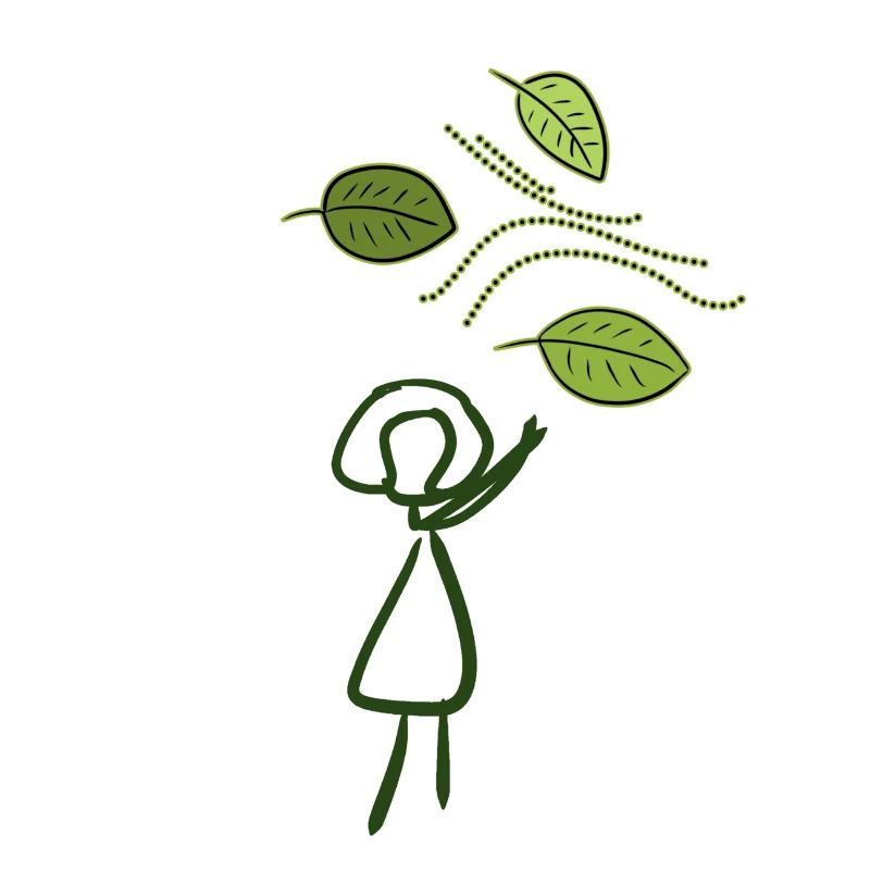 feuilles de vent feuille nature conservation nature vert