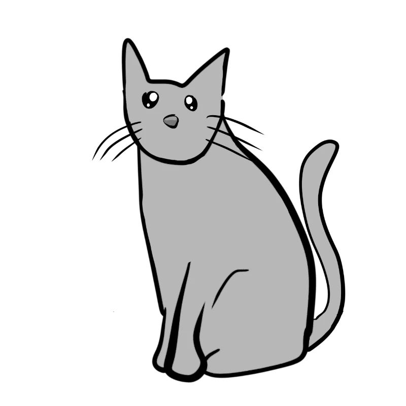 katze tier grau haustier