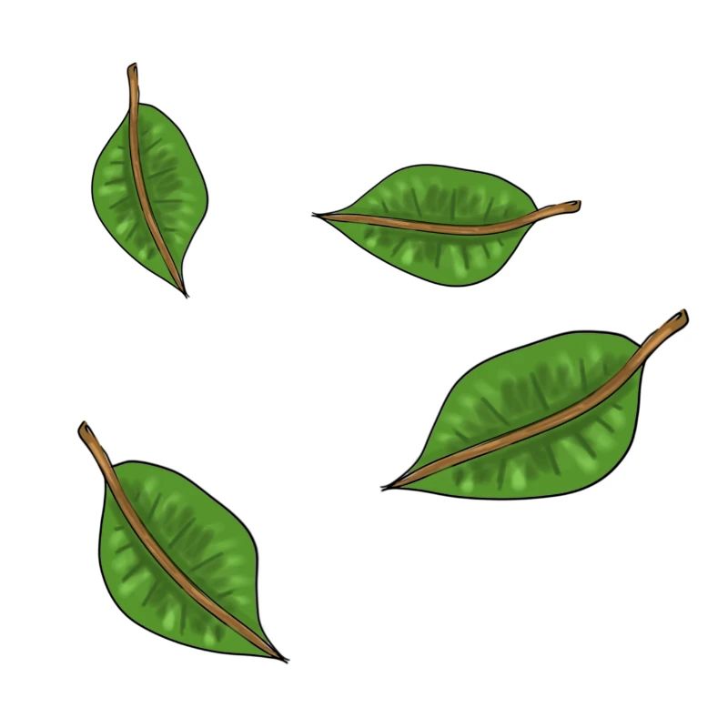 green leaves symbol pattern