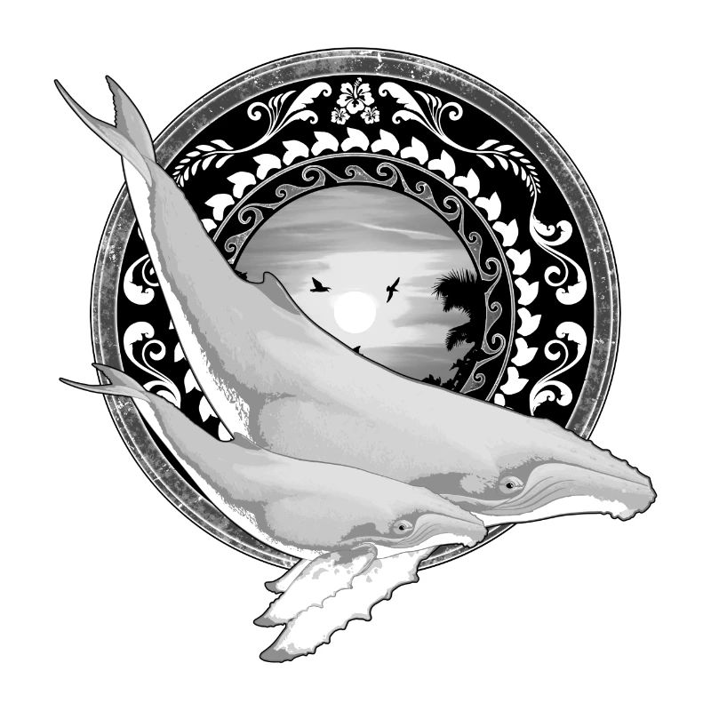 Baleine à bosse hawaïenne