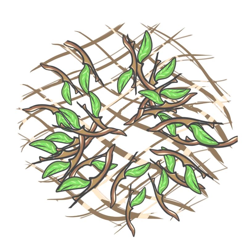 Crosses Pattern Cross Nature Branches Leaves