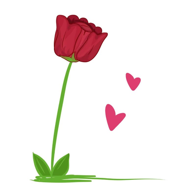 rote rose pflanze blume herzen