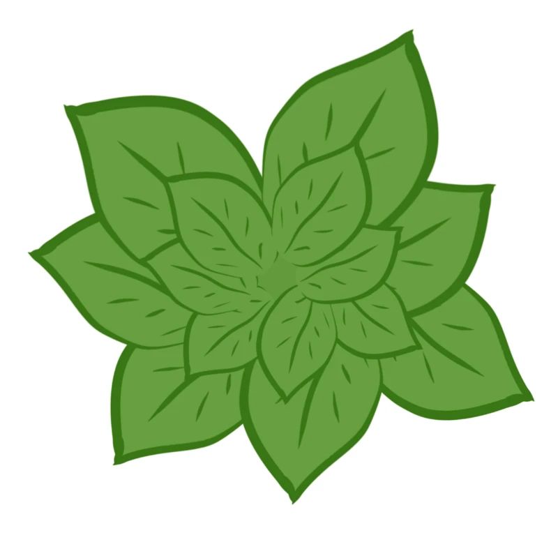 Feuilles vertes naturelles