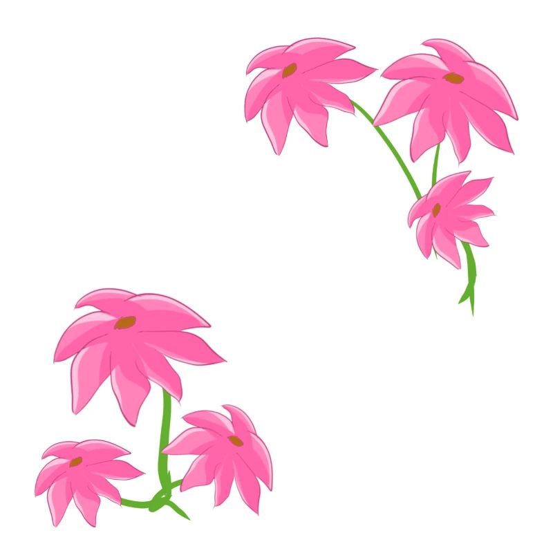 Pattern Pink Flower Plants