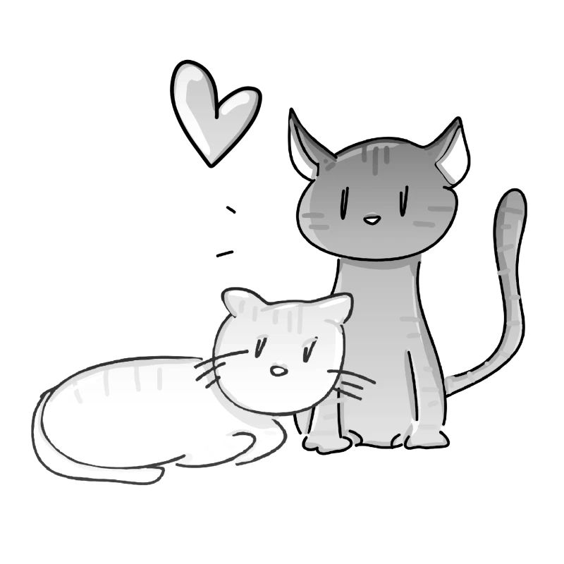 animaux chats chats amour couples