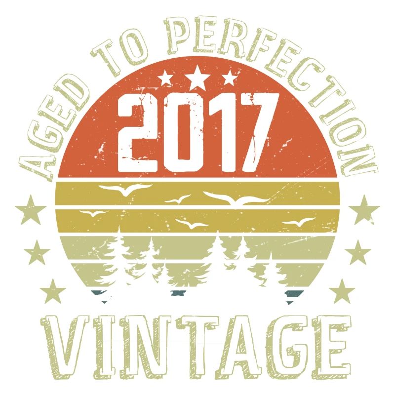 2017 Vintage Born 2017 Birthday Gift 2017