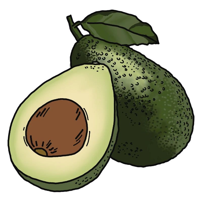 Avocado