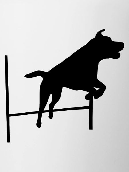 Agility