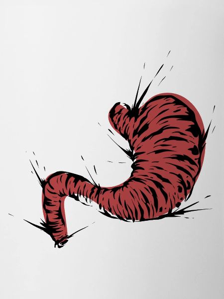 Stomach