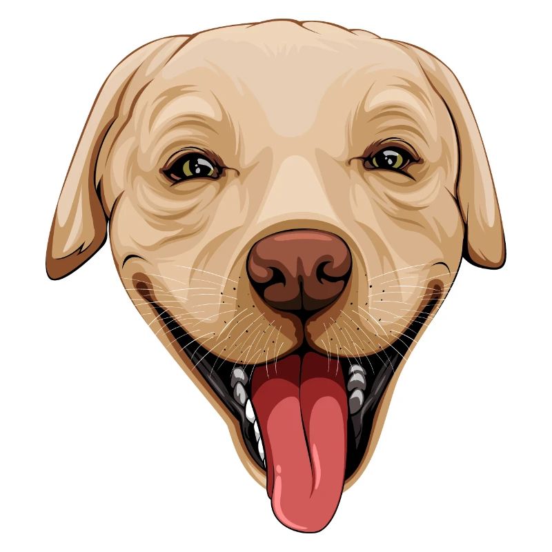 Happy Labrador
