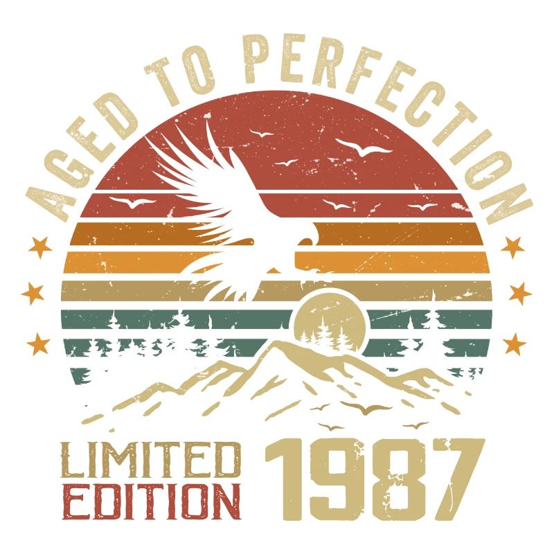 Vintage 1987 Limited Edition 1987 Retro 1987