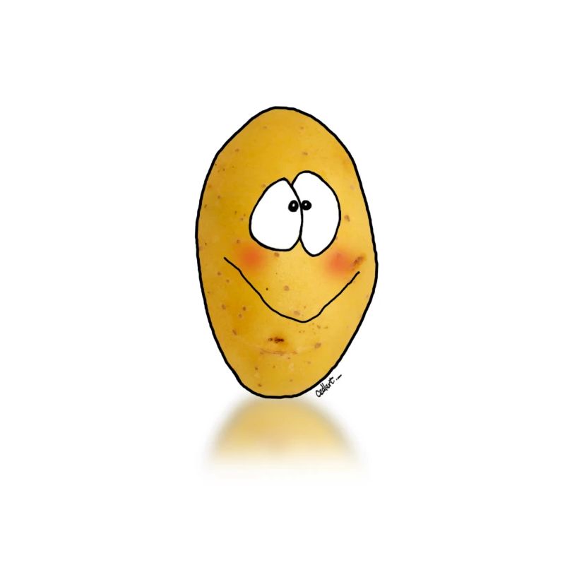 Patate