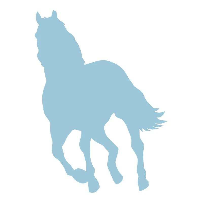 poney cheval équitation