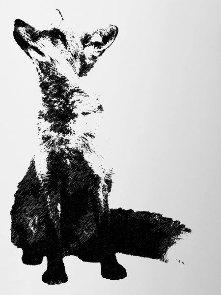 fuchs