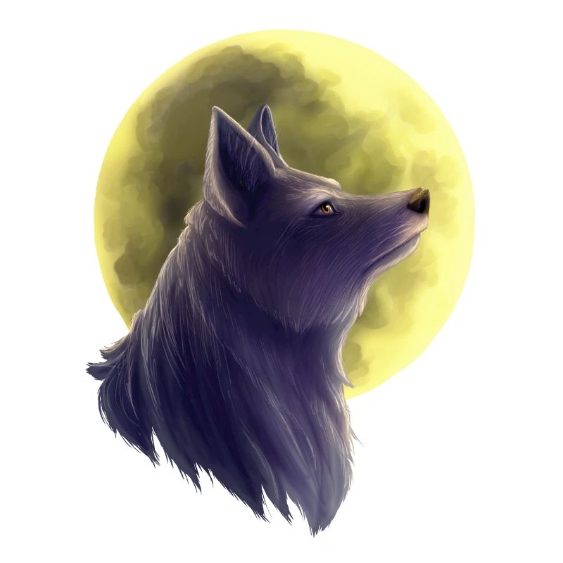 Wolf Gemälde