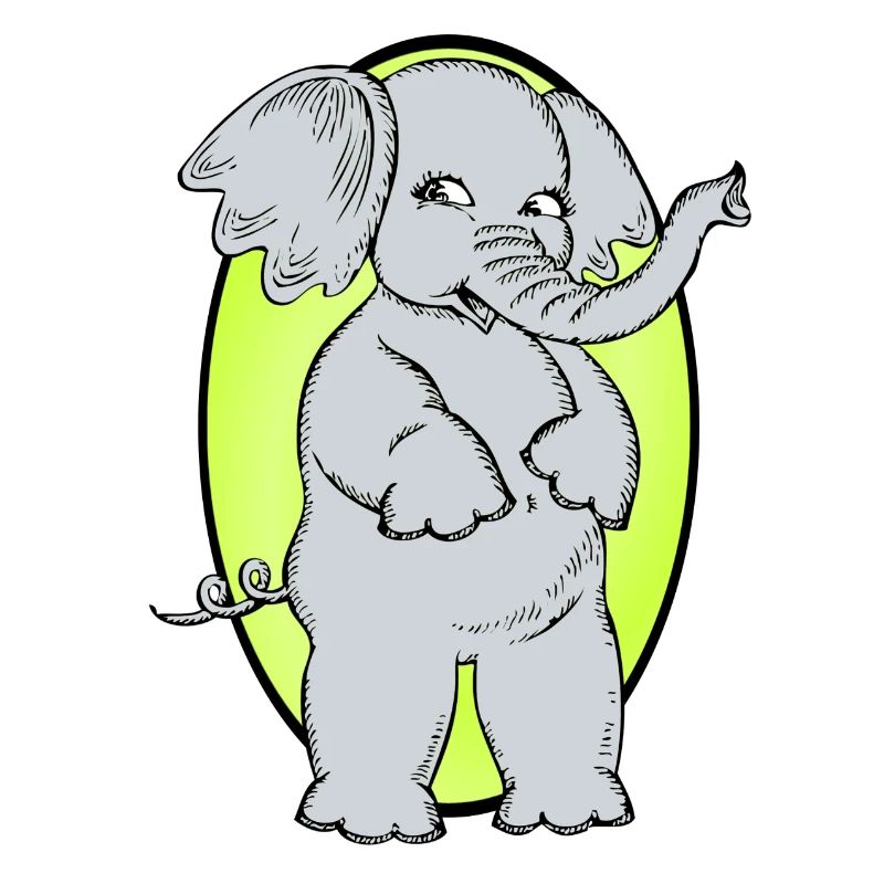 Elephant Elephant Circus