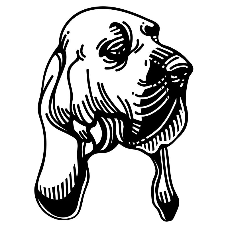 Bloodhound - Hunderasse
