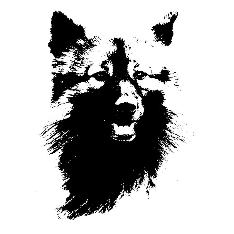 Wolfsspitz Kopf