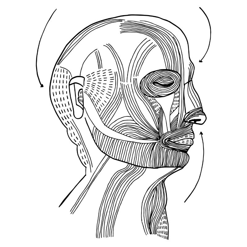 Head without senses