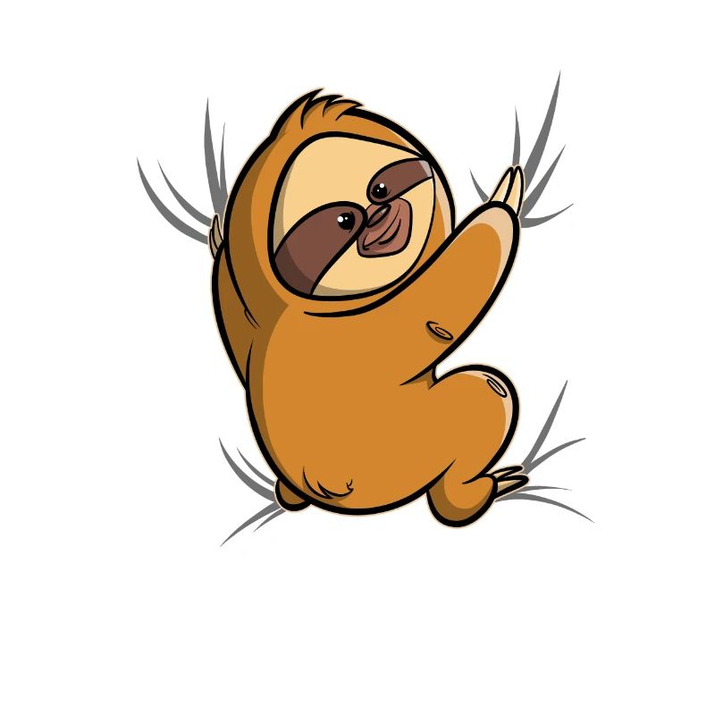 Sloth clings tight