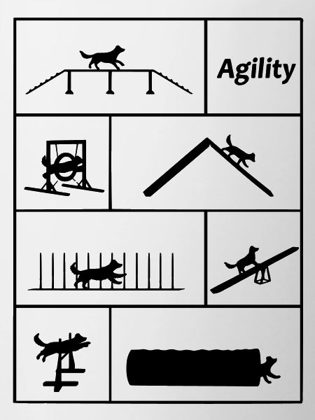 Agility