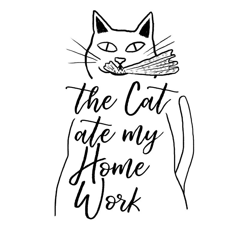 Le chat a mangé mes devoirs