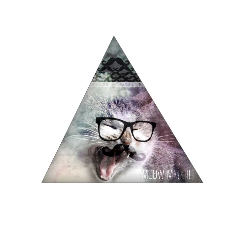 hipster moustache triangle cat swag style
