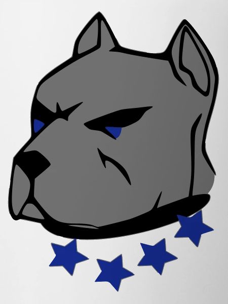 pit bull