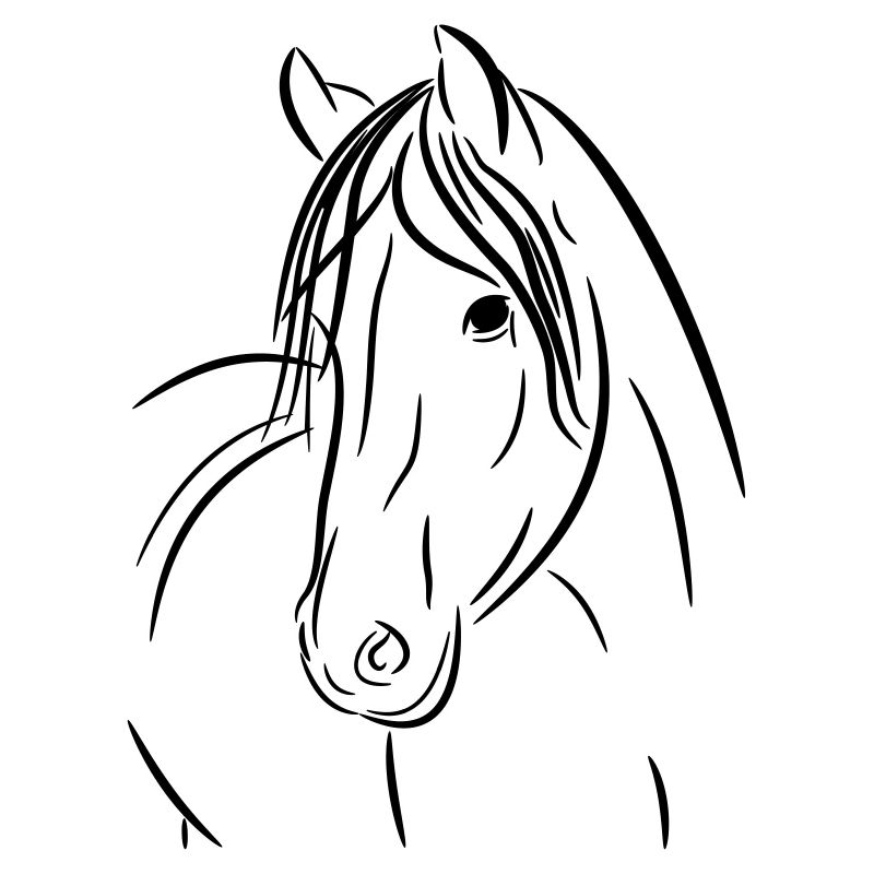 Pferd Kontur