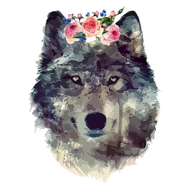Aquarelle De Loup