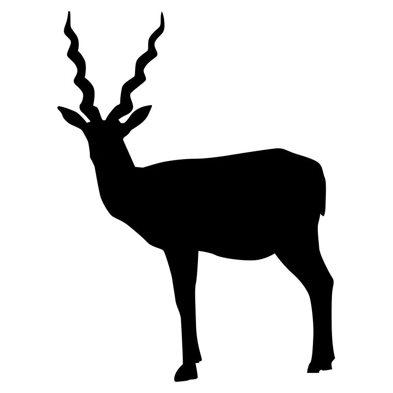 Antilope