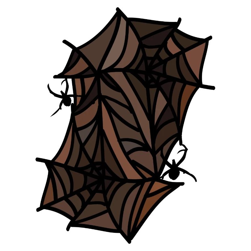 spiders spider webs