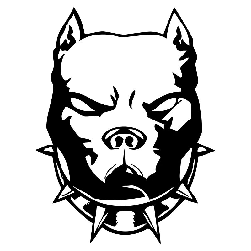 pitbull_01