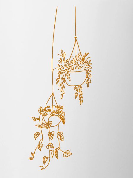 Hanging plant