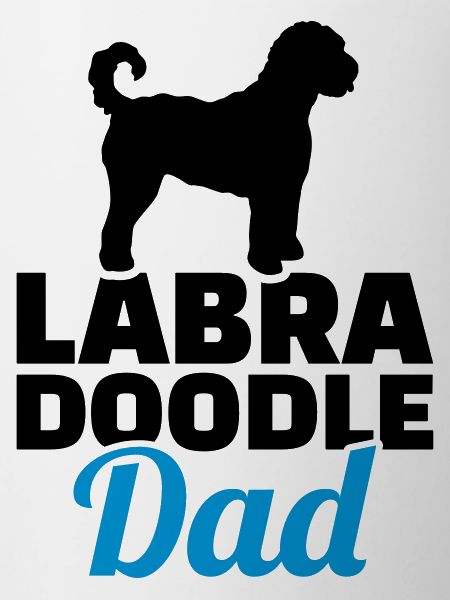 Labradoodle