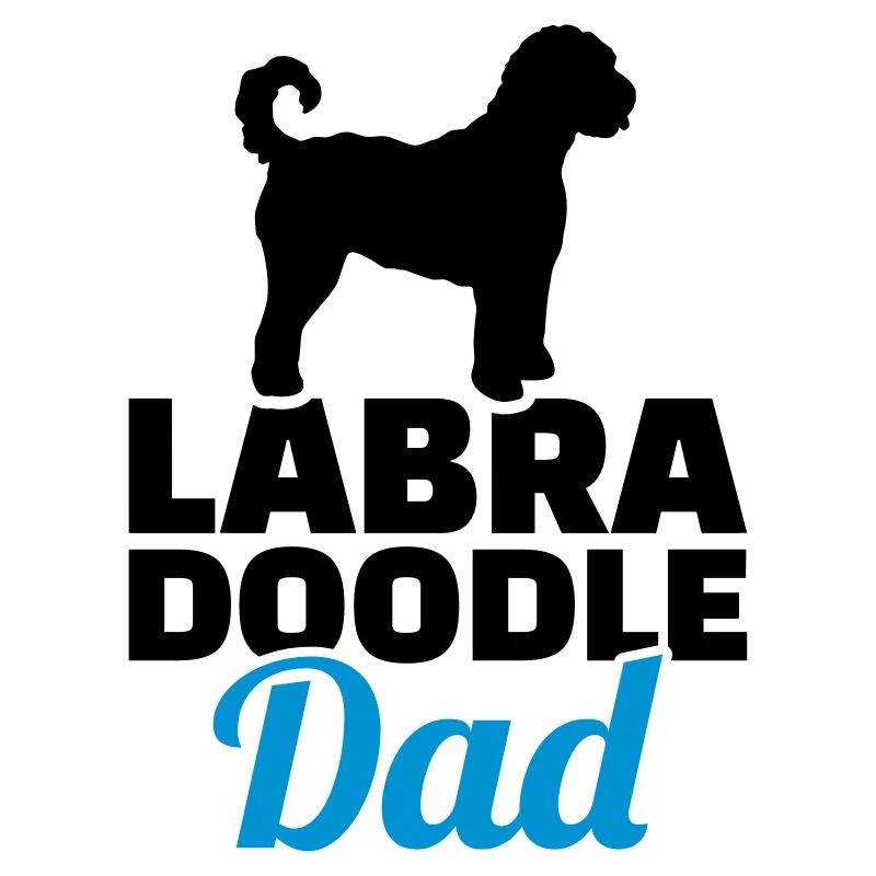 Labradoodle
