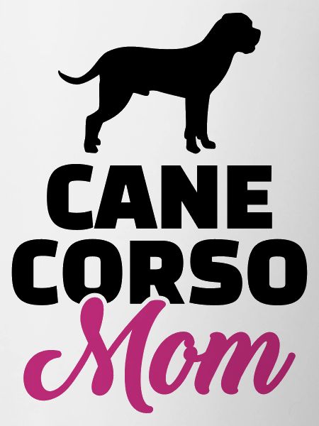 Cane Corso